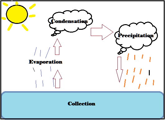 Class 7 Water Cycle