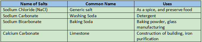 Uses of Salt Class 7